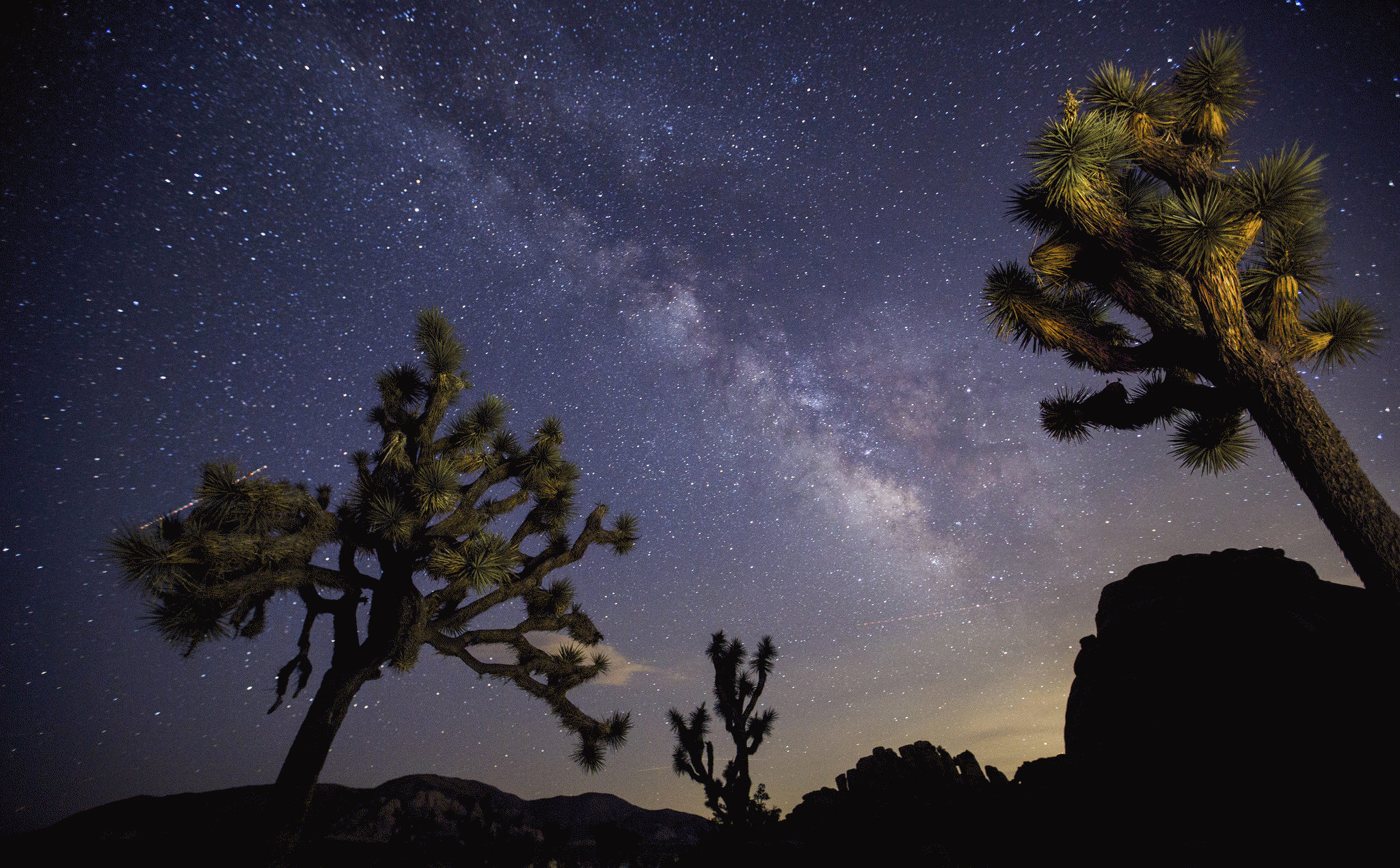 A view of the Milky Way arching over Joshua trees and rocks just after dark.