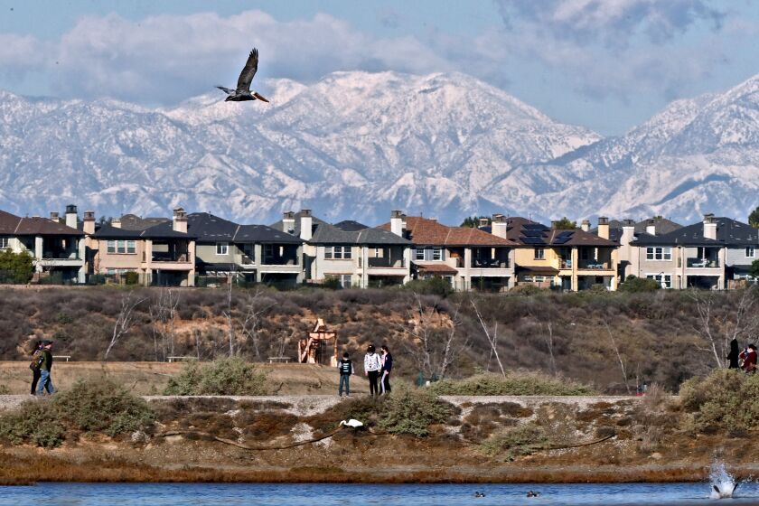 A Brown pelican flies above as visitors watch a Great egret hunt down below with the snowy San Gabriel Mountains in the background at Bolsa Chica Ecological Reserve in Huntington Beach on Tuesday, Dec. 29, 2020. The first significant Winter storm the day before brought cold temperatures and a large amount of rain and snow.