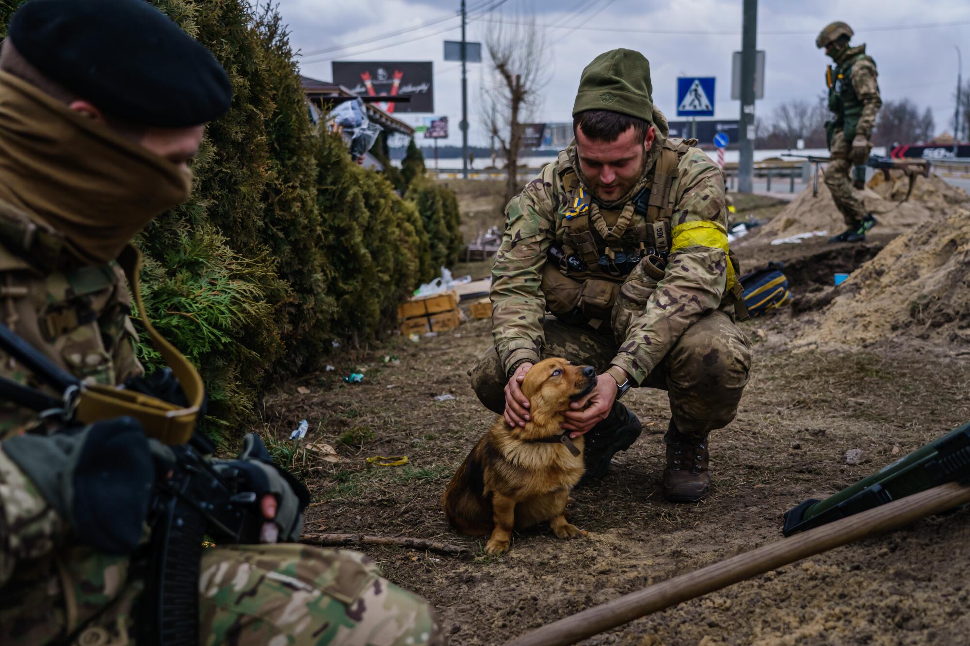 Ukrainian soldier petting a dog