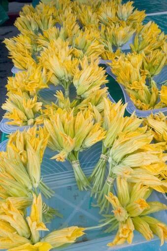 Zucchini blossoms