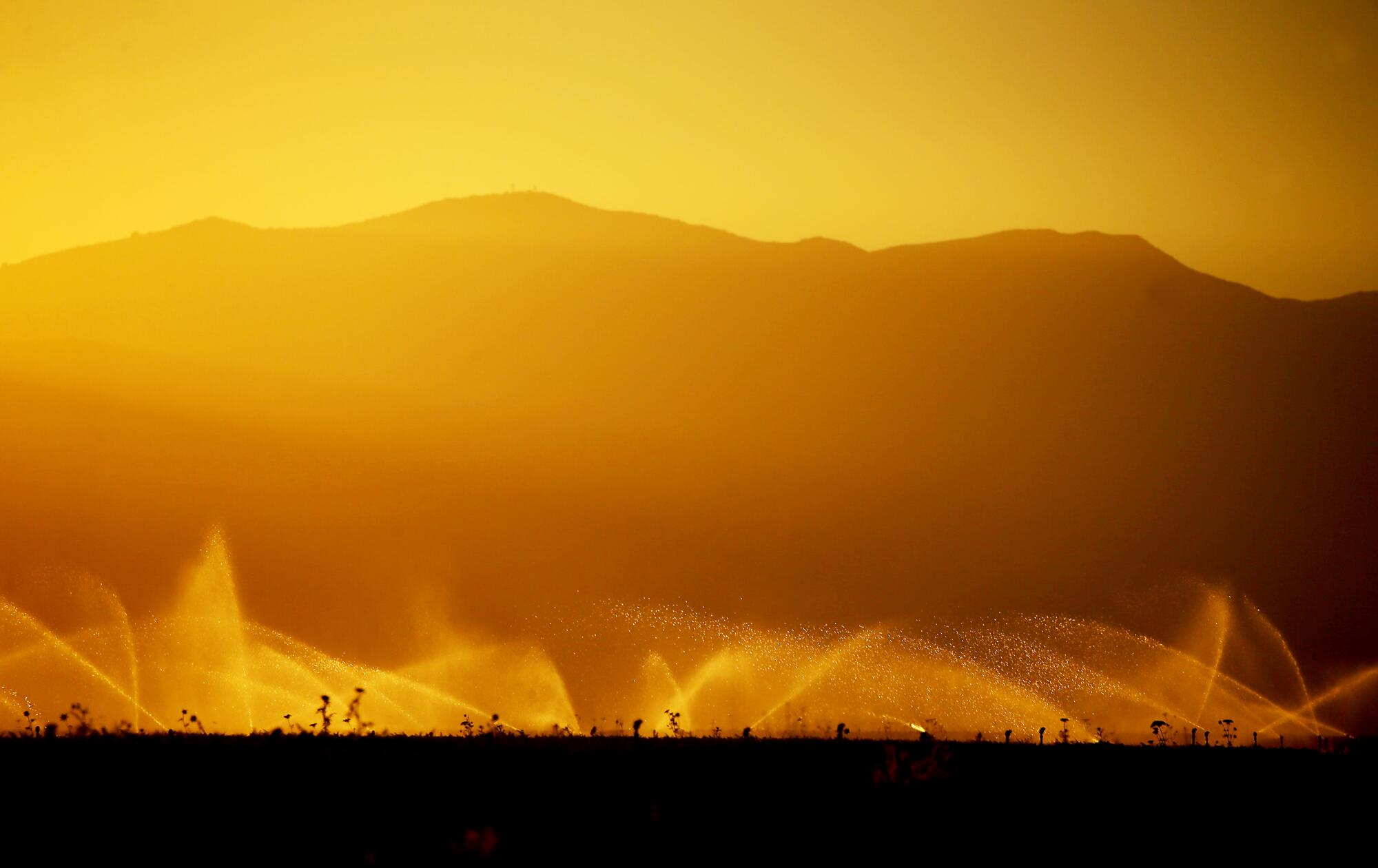 Sprinklers spray a carrot field in the Cuyama Valley.