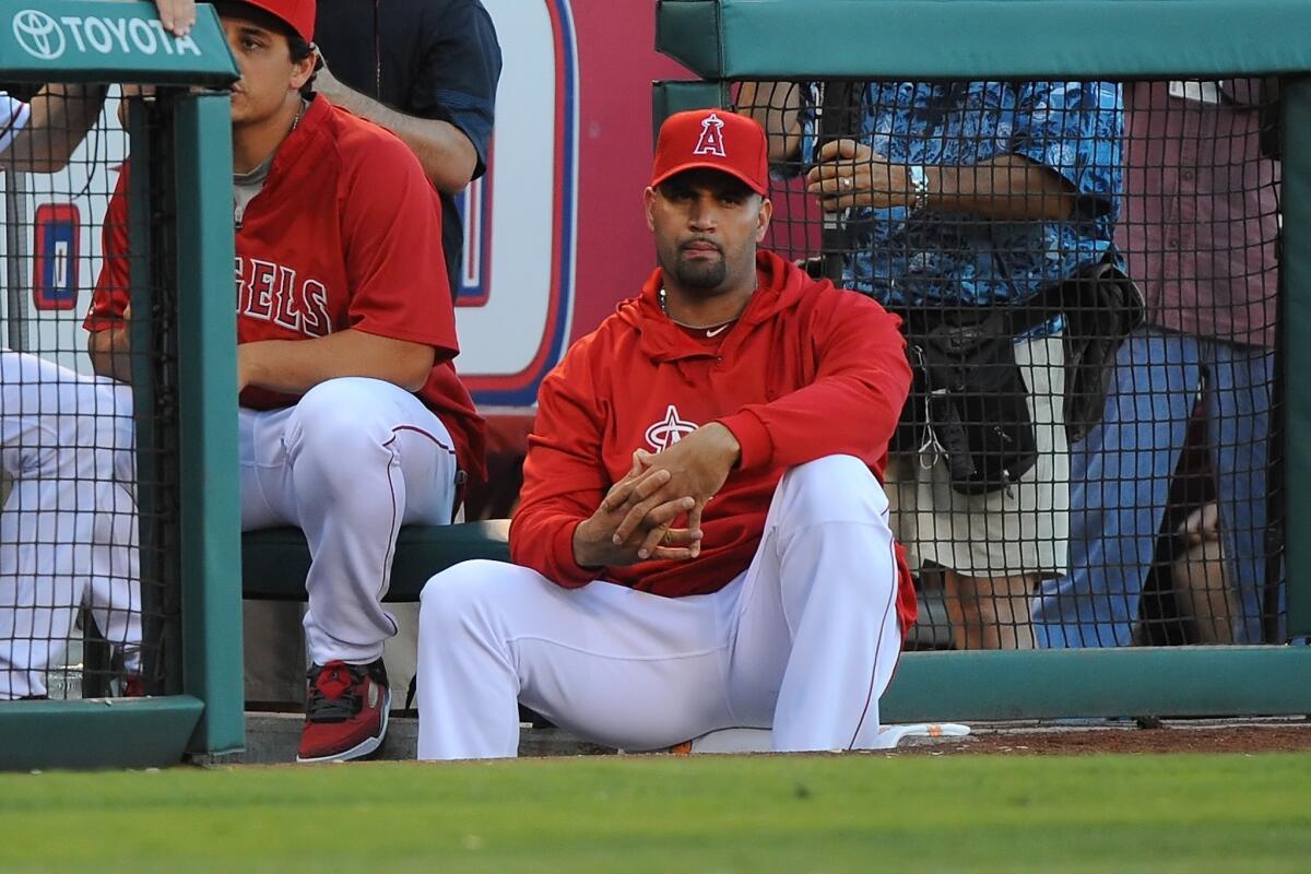 Angels slugger Albert Pujols expects to be in full health for the start of the 2014 season.