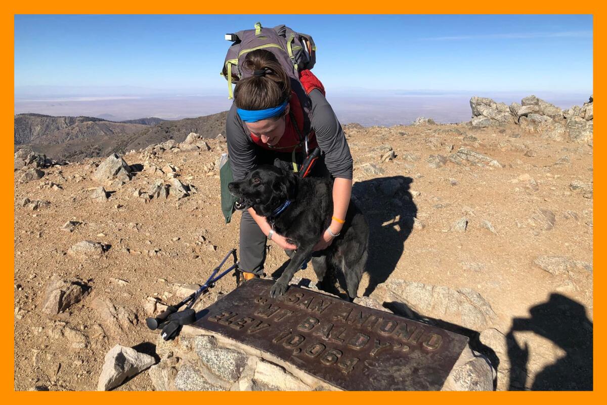 A person wearing a backpack holds a dog on top of a mountain while touching a metal plaque on a rock