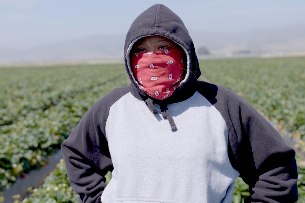 A woman wearing a mask stands in a field in a scene from PBS' "POV : Fruits of Labor"