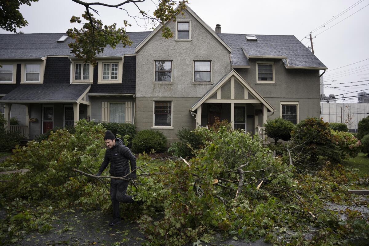 A man clears tree limbs and debris from his street.