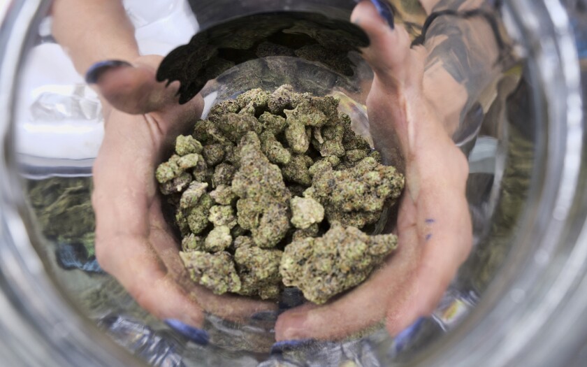 A bud tender displays a jar of cannabis at the High Times 420 SoCal Cannabis Cup in San Bernardino in April 2018.
