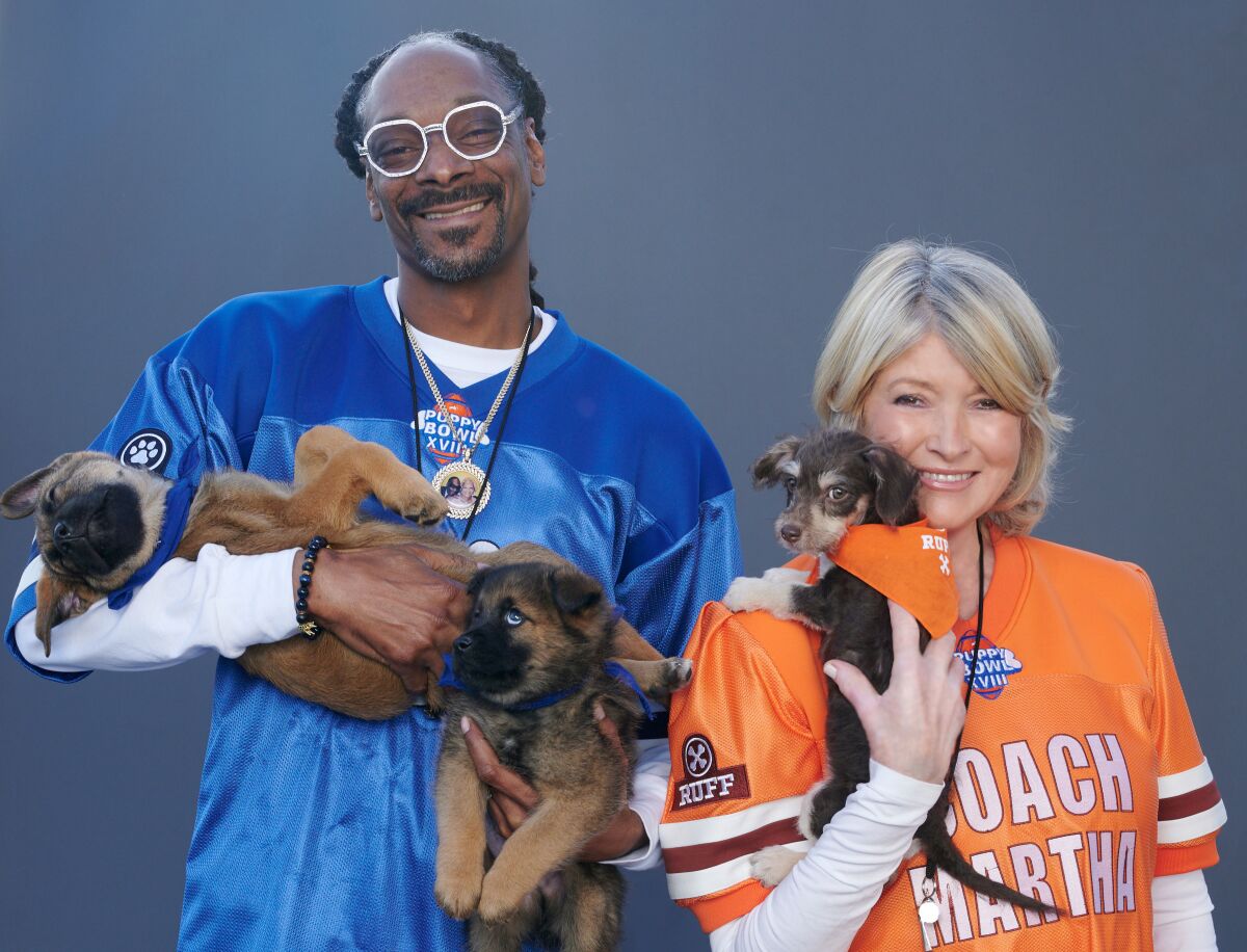 Snoop Dogg and Martha Stewart smile because they are holding puppies