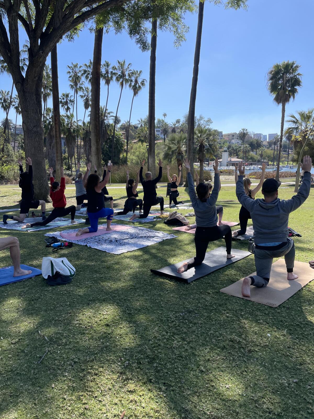 Outdoor yoga class in Echo Park 