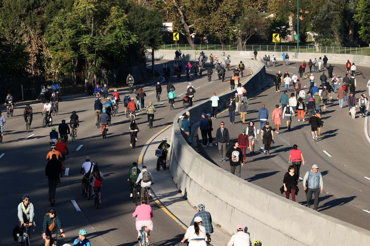 Bicyclists, rollerbladers, skateboarders, walkers and runners take over a freeway