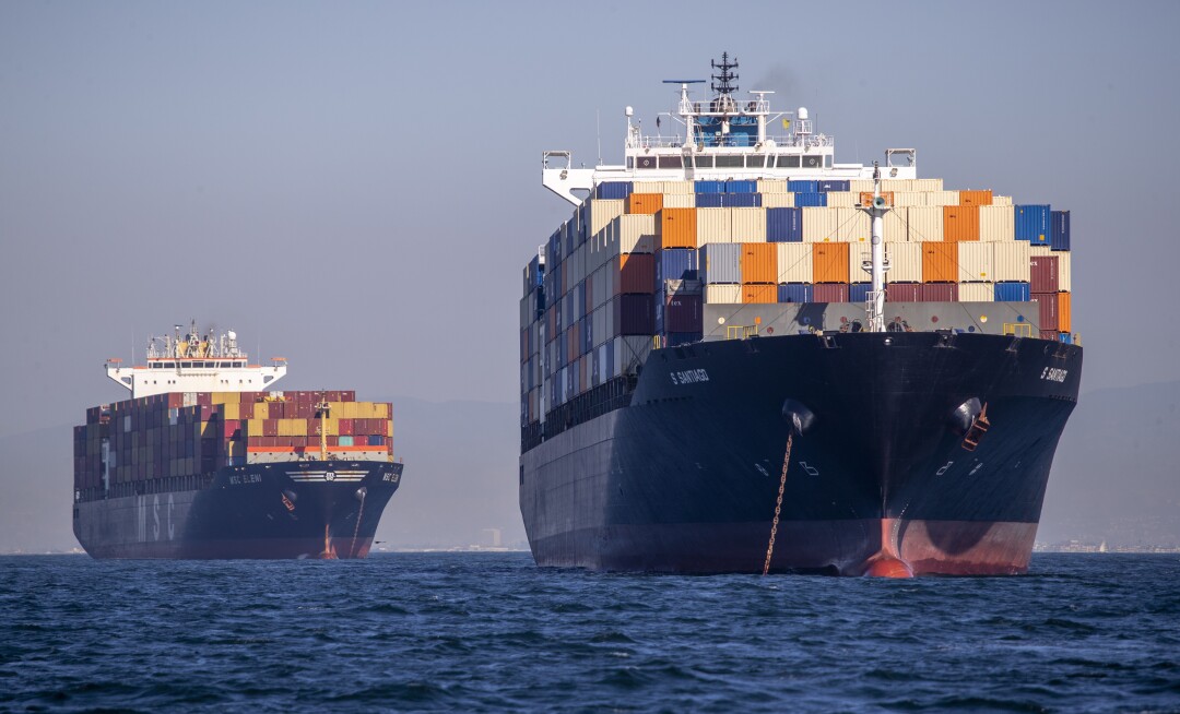 Dozens of container ships sit off the coast of the Ports of Los Angeles and Long Beach.