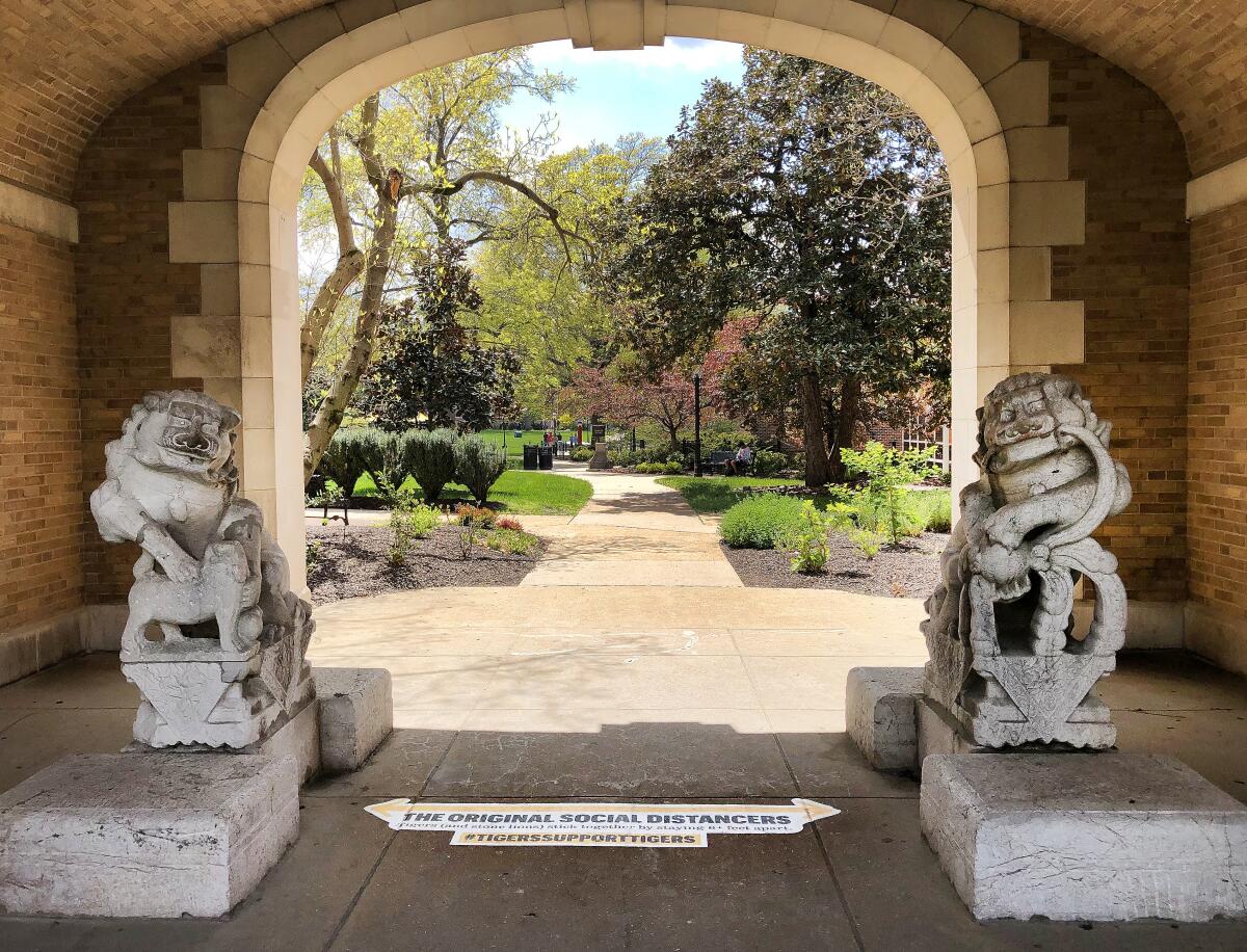 A pair of centuries-old lions that guard the entrance of the University of Missouri's School of Journalism s