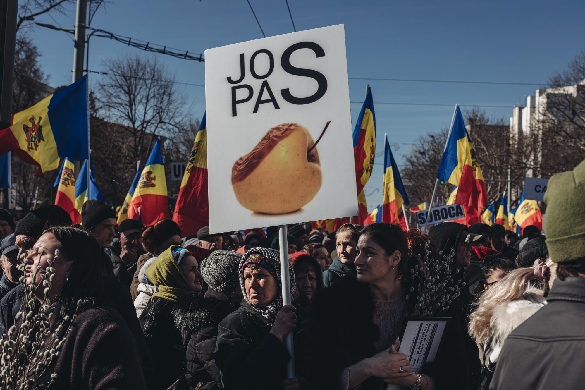 Demonstrators carry signs and Moldovan flags