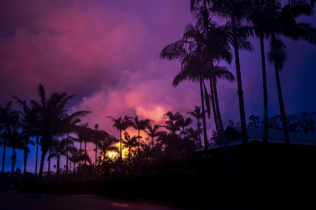 Palm trees at the Leilani Community Assn. Park are cast in silhouette by the lava and ash plume coming out of Fissure 8, currently the most of active of the fissures around the volcano.