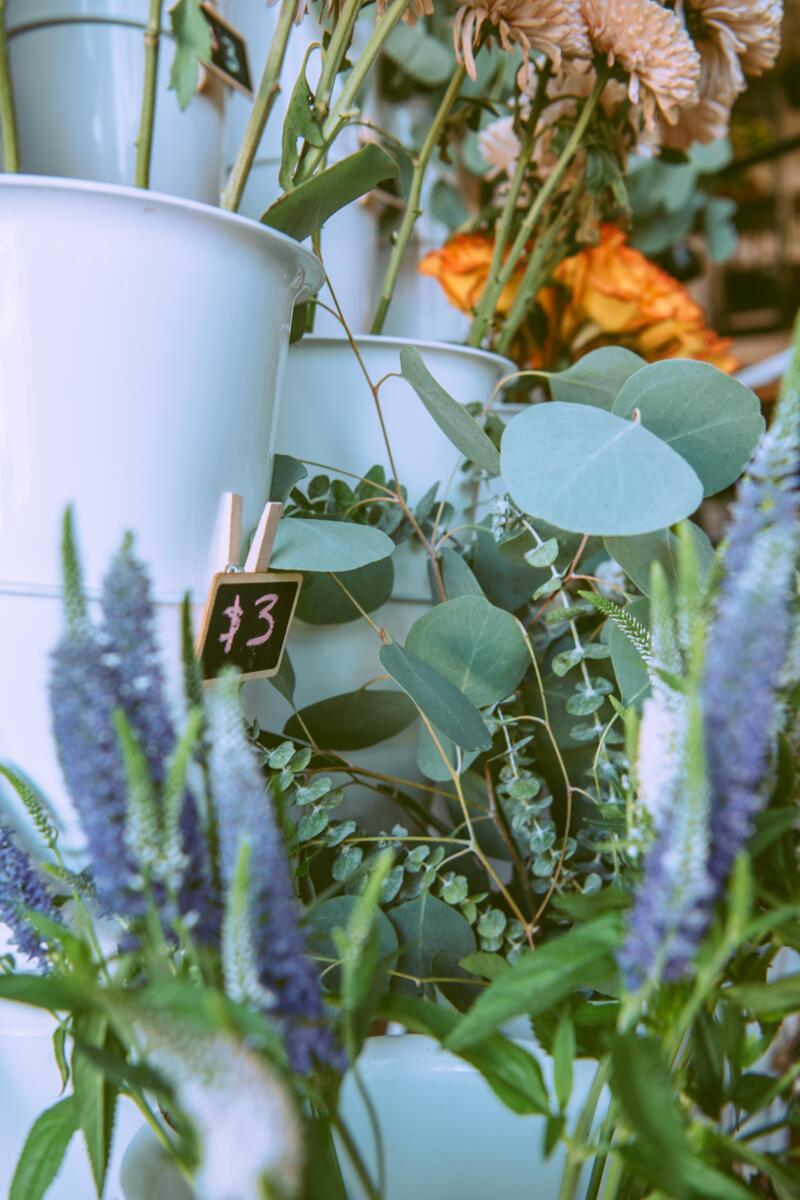 A variety of flowers for sale.