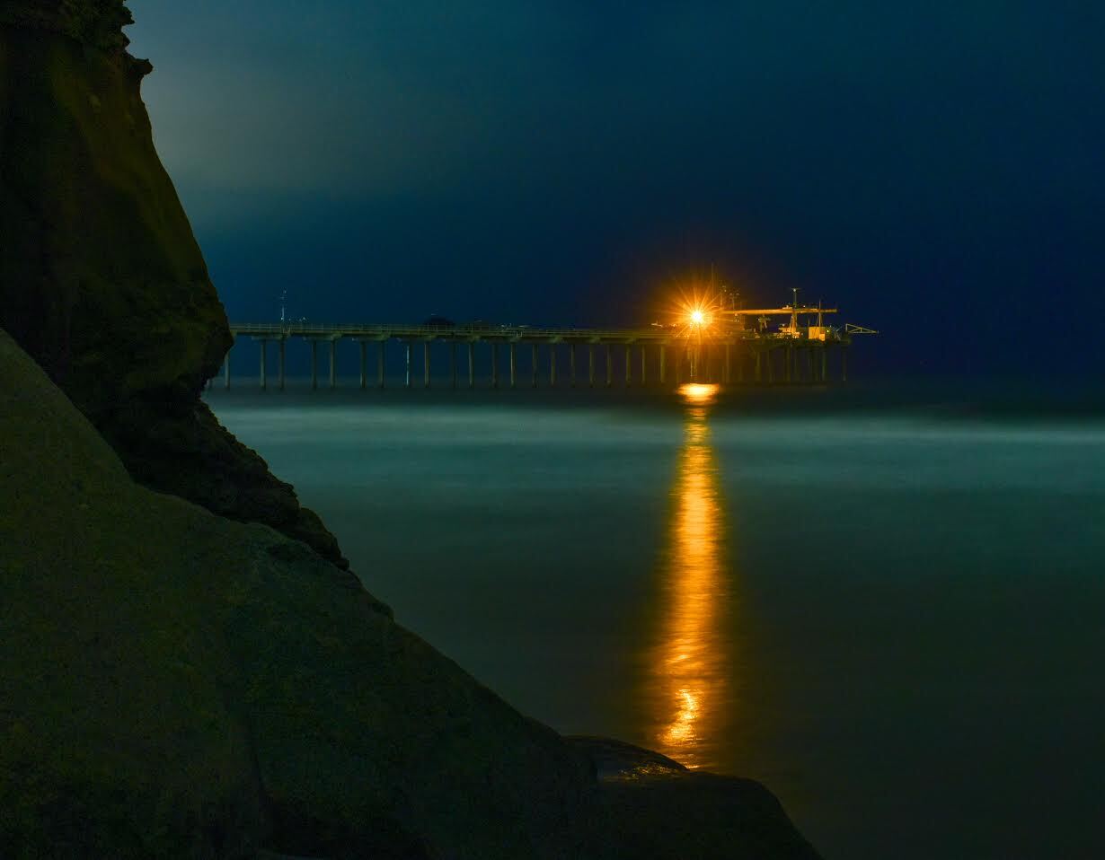 Red Tide Is Causing The Surf To Flash Neon Blue Green Light At