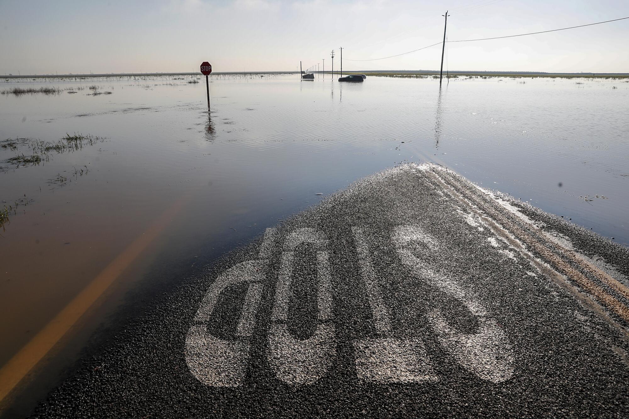 Vehicles sit submerged in floodwaters near the horizon, while a road with a stop sign on it disappears into the water.