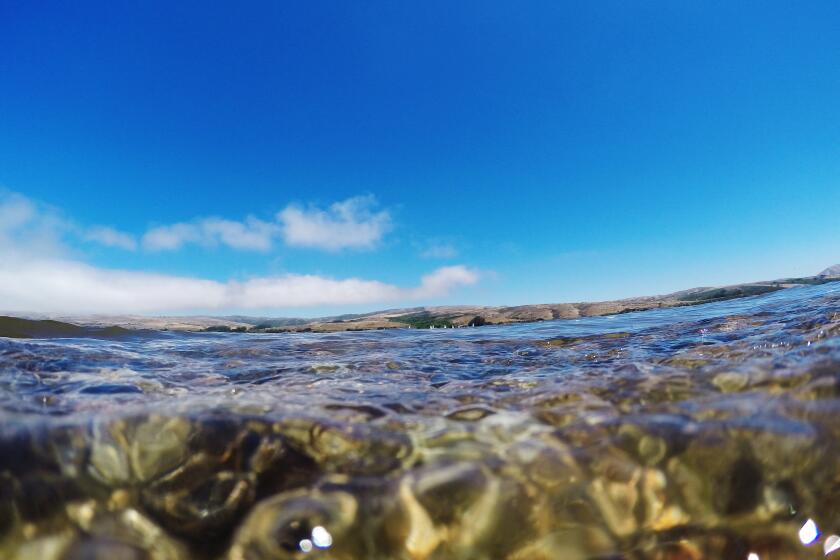 POINT REYES NATIONAL SEASHORE, CA - JULY 20, 2016: Clear water and deep blue sky at Tomales Bay on July 20, 2016 in Point Reyes National Seashore, California. (Gina Ferazzi / Los Angeles Times)