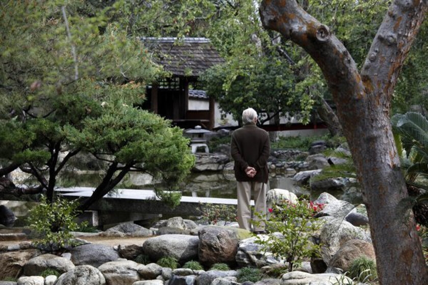 Storrier Stearns Japanese Garden Serene Reawakening In Pasadena