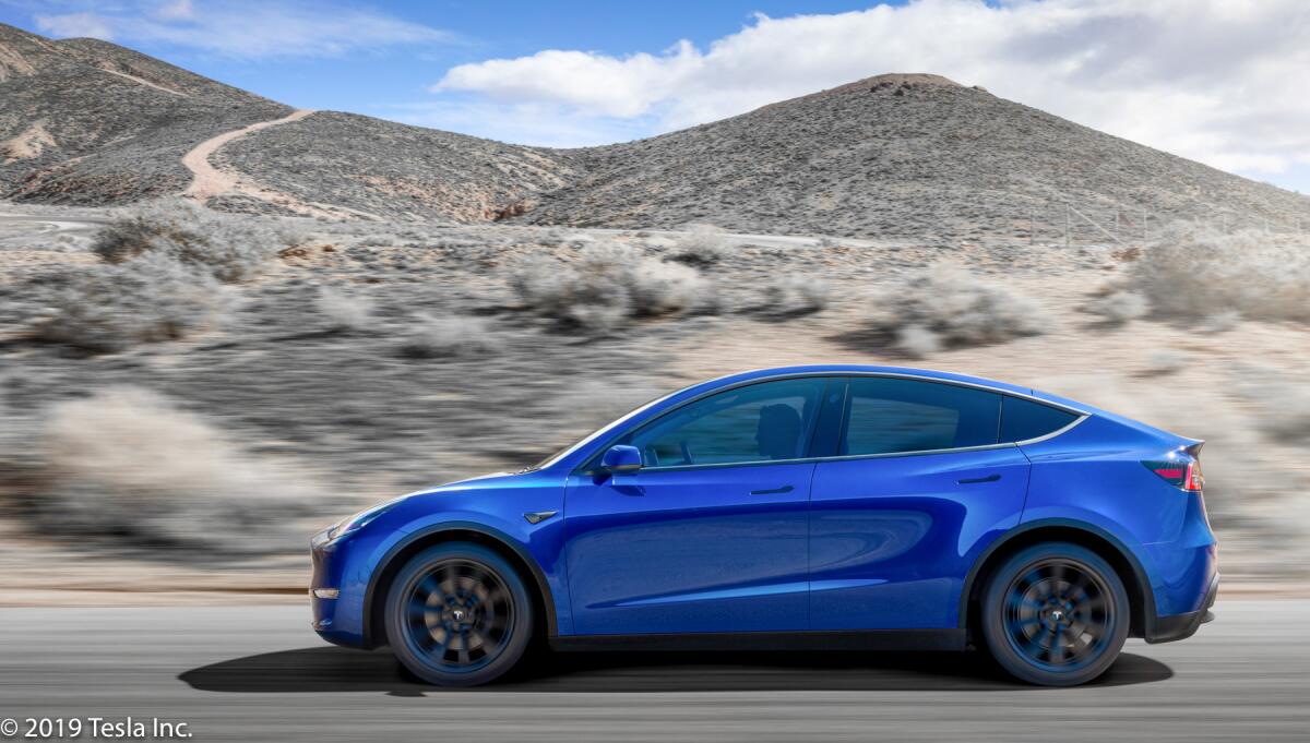 TESLA MODEL Y SUV & “SUPERPOWER DOGS” IMAX AT THE FLEET - AutoMatters & More