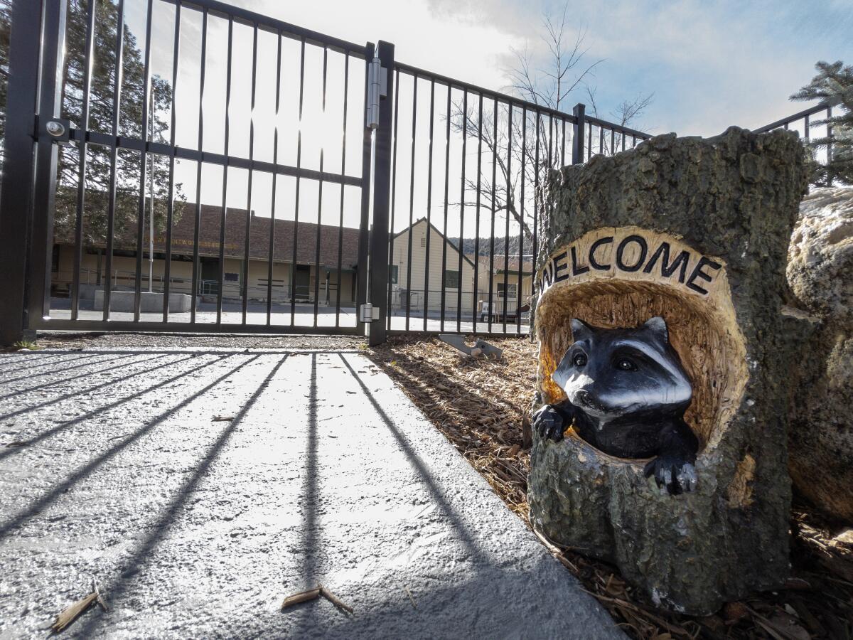 A figure of a raccoon peers out of a tree stump under the word Welcome near a gate. 