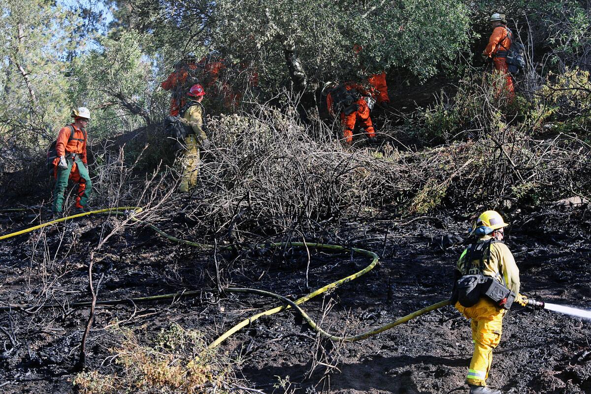 Fire crews dig and spray water onto hotspots during the mop up of a 2-acre brush fire, brought under control by fire departments from Glendale, Pasadena and Burbank on Figureroa Street in Glendale on Wednesday, June 4, 2014. The fire was on the Pasadena side of the street, but those on the Glendale side of the street were impressed with the quick response and result.