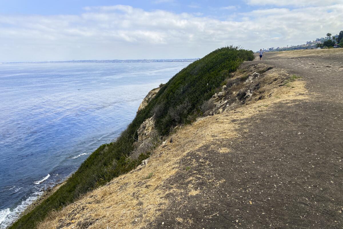 Trail on a bluff overlooking the ocean 