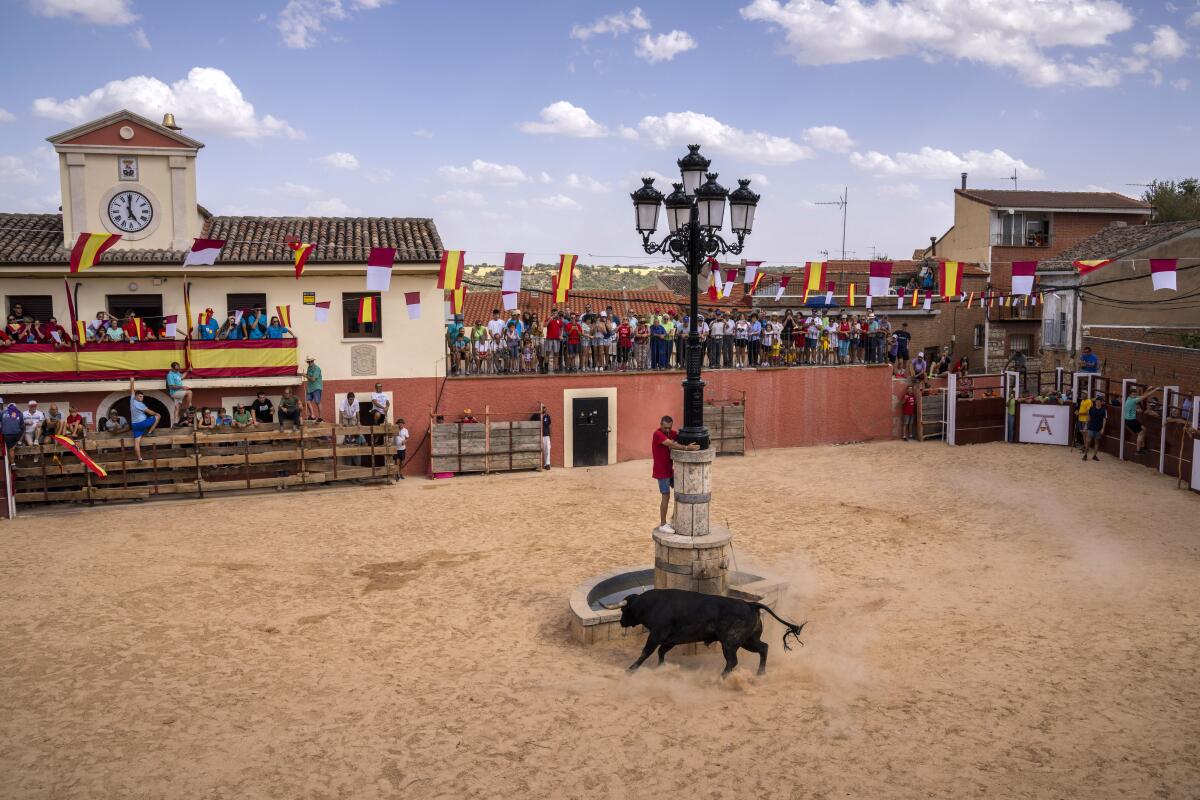 Un toro persigue a un hombre durante un festival taurino en la aldea de Atanzón, España,