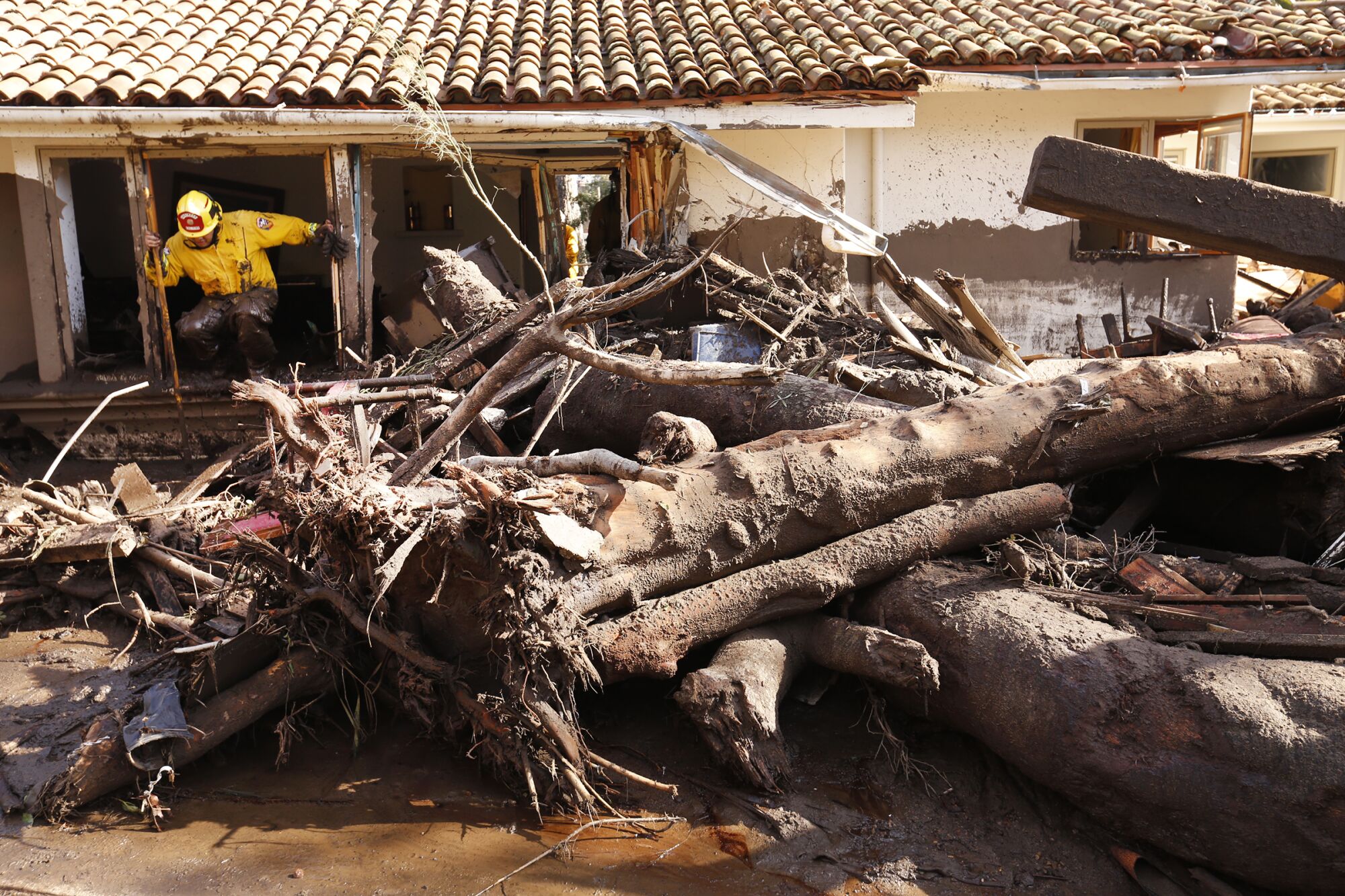 A firefighter searches for residents in a muddy house with fallen trees outside