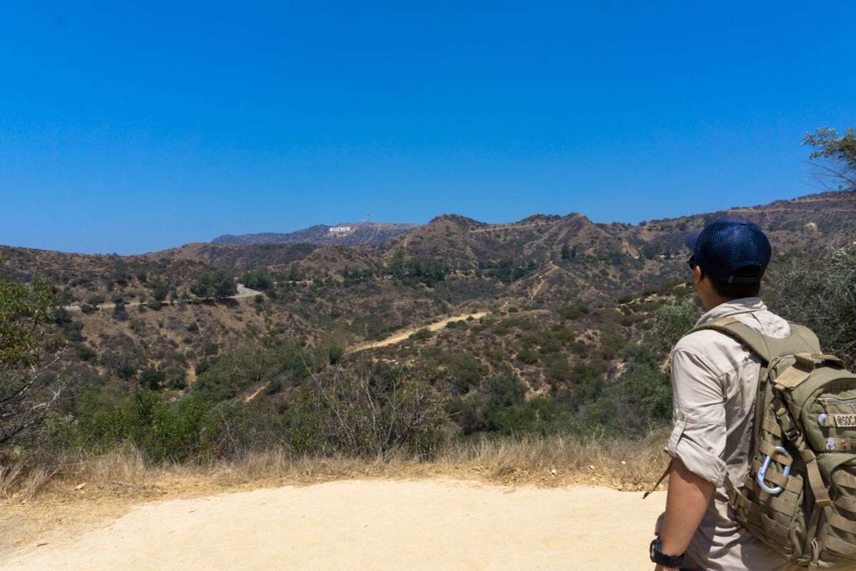 The Hollywood sign from the West Observatory Trail.