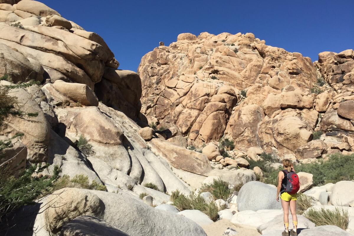 Rattlesnake Canyon hike