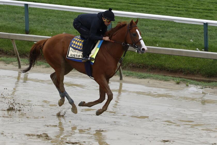 Kentucky Derby winner Justify, with exercise rider Humberto Gomez aboard, gallops around the track, Thursday, May 17, 2018, at Pimlico Race Course in Baltimore. The Preakness Stakes horse race is scheduled to take place Saturday, May 19. (AP Photo/Patrick Semansky)