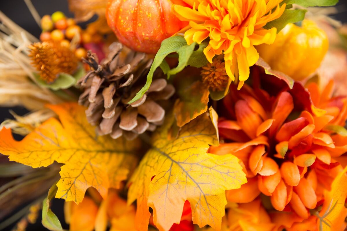 Fall flowers
