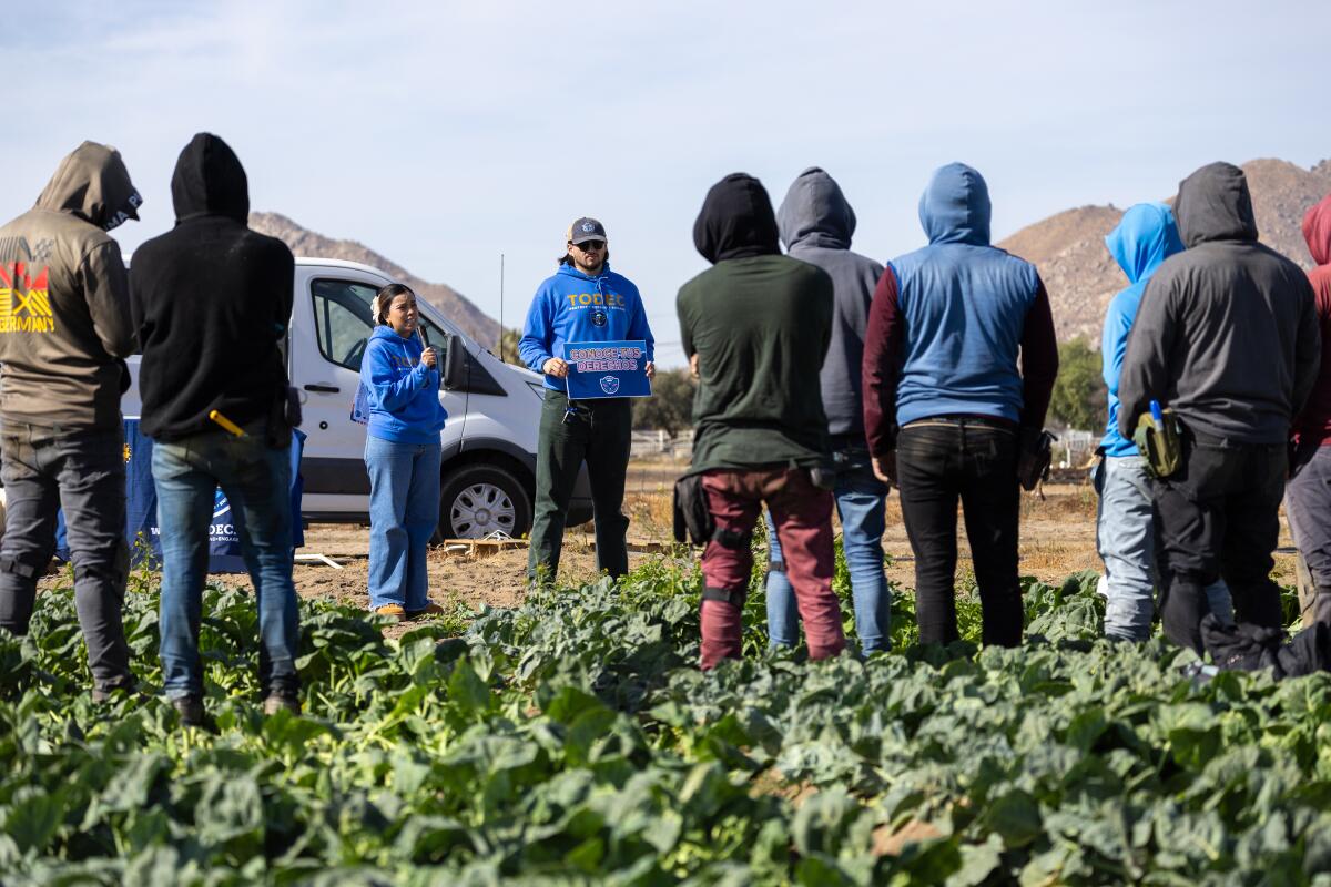 Los agricultores dehkan para estar verticalmente con su ebullición y regresar a la cámara