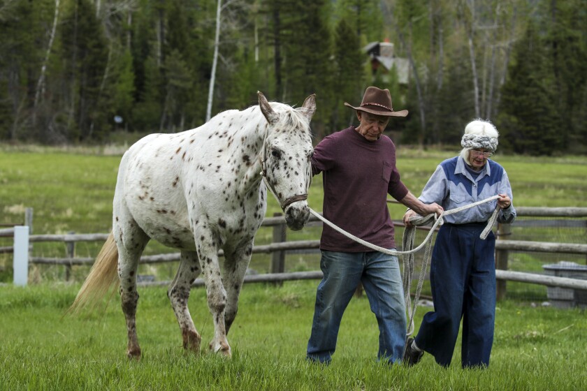 A man and a woman lead a horse through a pasture.