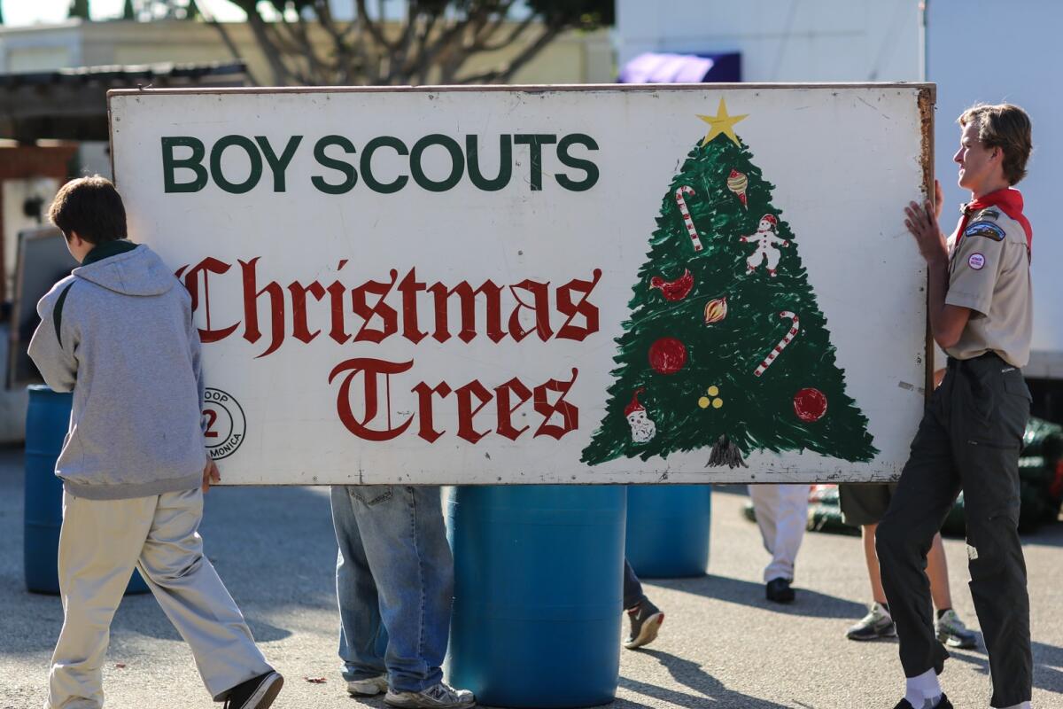 Two people carrying a sign that reads Boy Scouts Christmas Trees