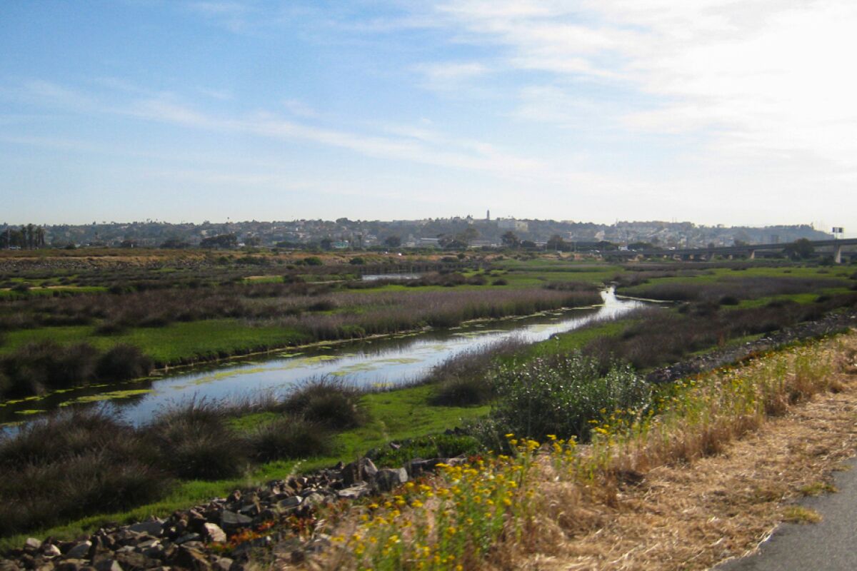 A view of the estuary created at the end of the San Diego River between Mission Bay and Ocean Beach.