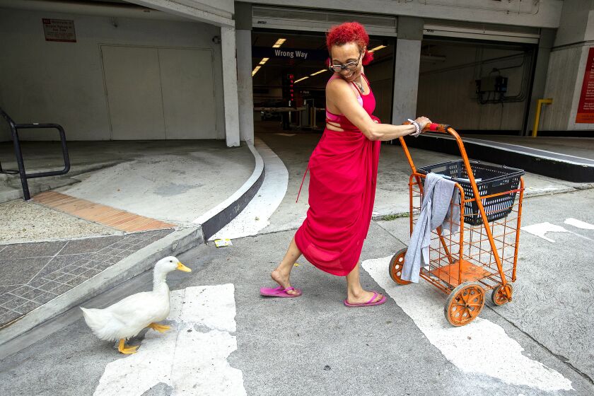 LOS ANGELES, CA-JUNE 8, 2022: Autumn McWilliams, 33, walks along Grand Ave. in downtown Los Angeles with her emotional support animal tagging along behind her, a male, Pekin duck she named Cardi D. (Mel Melcon / Los Angeles Times)