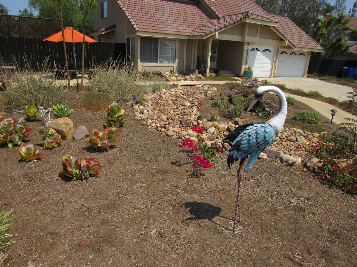 Part of the revamped garden at Patricia Wood's home in Rancho San Diego, which won her a prize from Otay Water District.