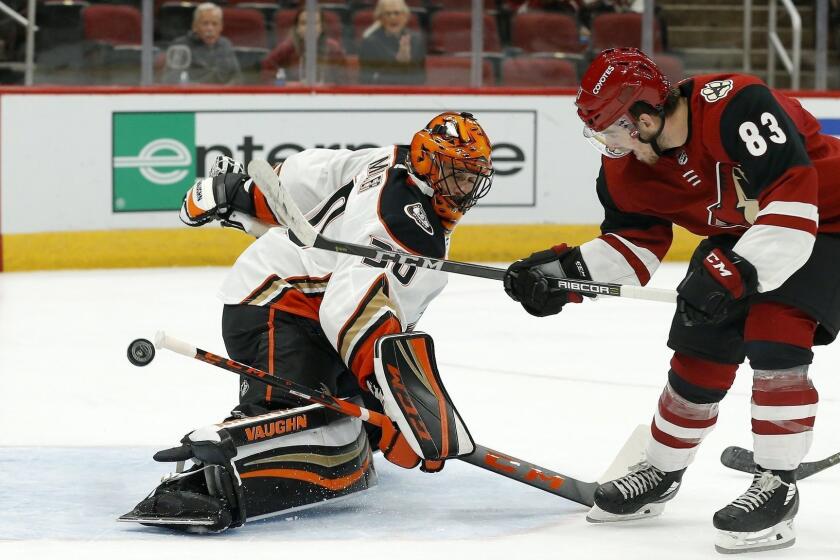 Arizona Coyotes' Conor Garland (83) scores a goal against Anaheim Ducks goaltender Ryan Miller during the second period of an NHL preseason hockey game Saturday, Sept. 22, 2018, in Glendale, Ariz. (AP Photo/Ross D. Franklin)