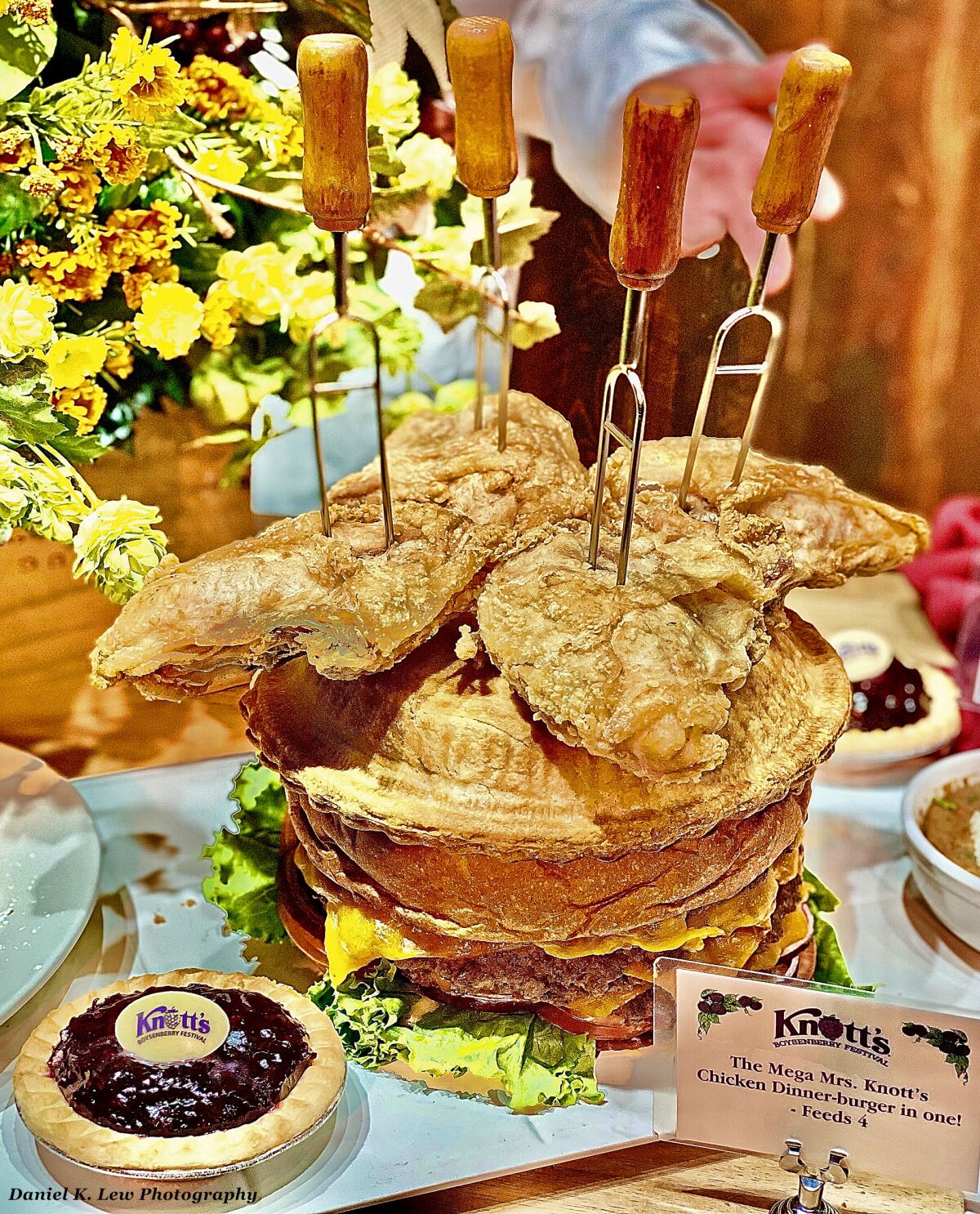 The biggest, craziest food item at Knott's Boysenberry Festival is 'The Mega Mrs. Knott's Chicken Dinner-burger in one' - a giant cheese burger topped with a whole boysenberry pie, and four big pieces of fried chicken on top. It will only be sold at Mrs. Knott's Chicken Dinner Restaurant; takes about 30 minutes to make; and will likely be sold for an estimated $80. Suggested for 4 people or more.