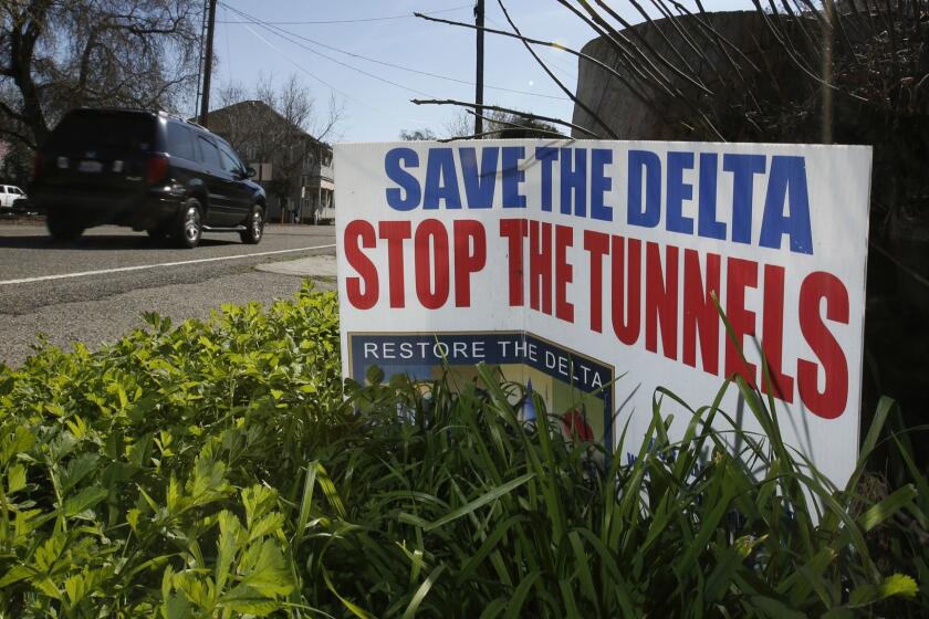FILE - In this Feb. 23, 2016, file photo, a sign opposing a proposed tunnel plan to ship water through the Sacramento-San Joaquin Delta to Southern California is displayed near Freeport, Calif. Giant tunnels that Gov. Jerry Brown wants to build to haul water across California are economically feasible only if the federal government bears a third of the nearly $16 billion cost because local water districts may not benefit as expected, according to an analysis that the state commissioned last year but never released. (AP Photo/Rich Pedroncelli, File)