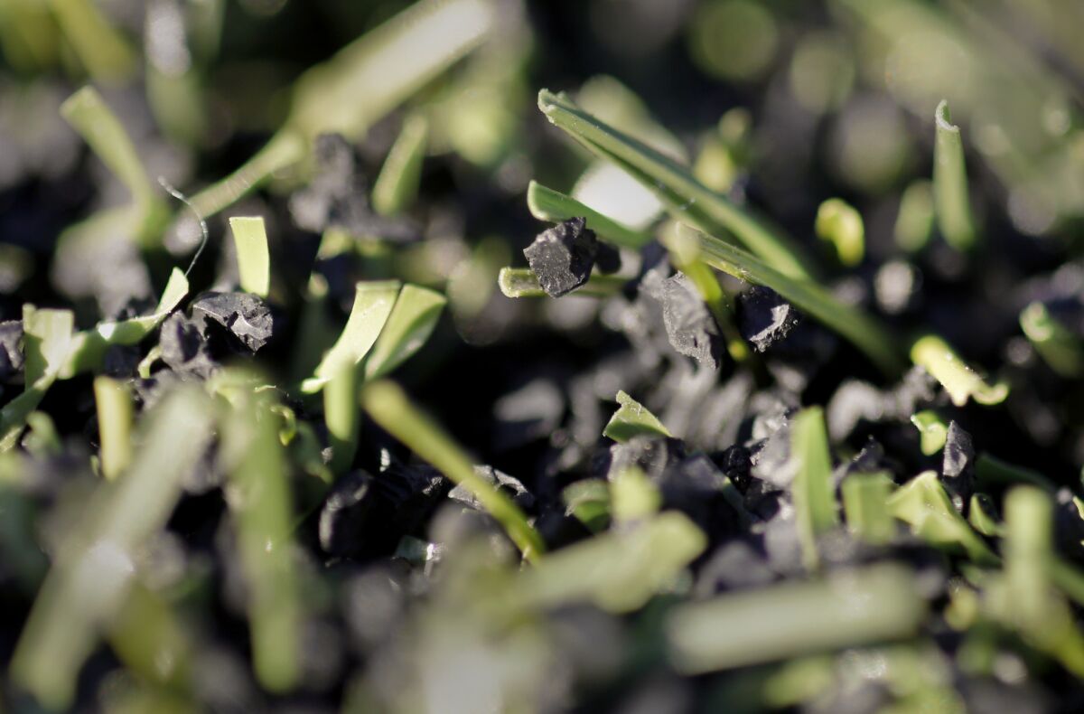 A close-up view of synthetic turf and crumb rubber.