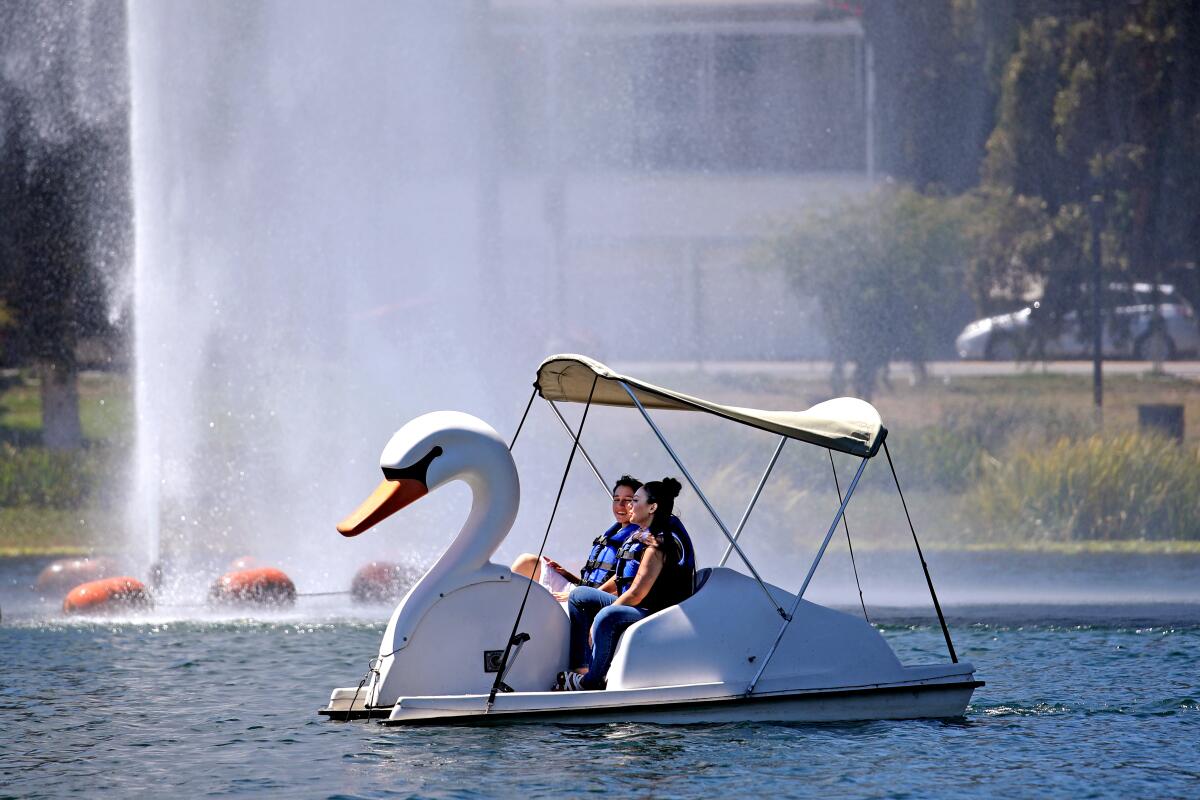 Two people ride in a swan boat next to a spray of water on a lake.