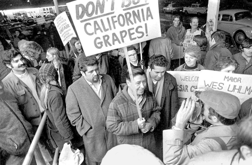 United Farm Workers leader Cesar Chavez, carrying a sign calling for a boycott of table grapes, leads about 400 people in picketing at a Safeway supermarket in Seattle on Dec. 19, 1969.