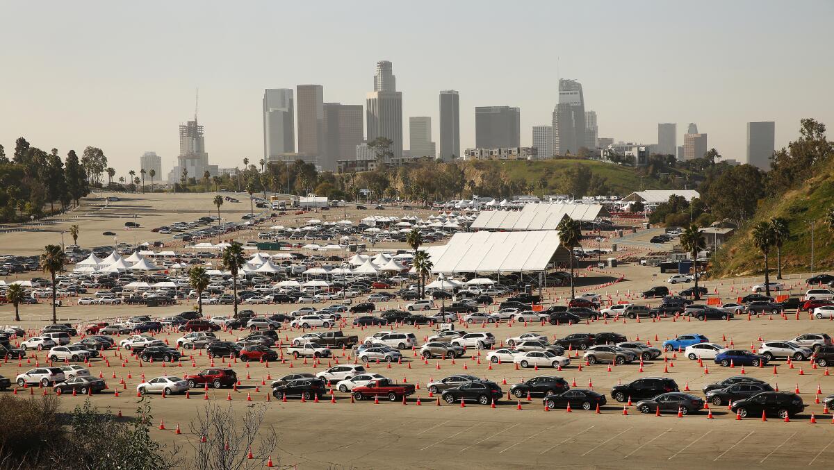 Drivers wind their way through the Dodger Stadium parking lot for COVID-19 vaccines.