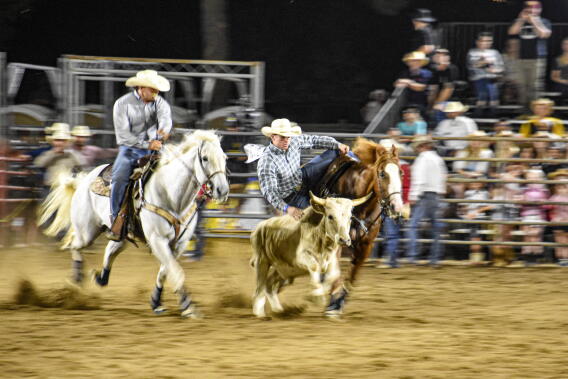 Justin Rucker Rodeo California California poised to buck rodeos, another foray in the culture wars ...