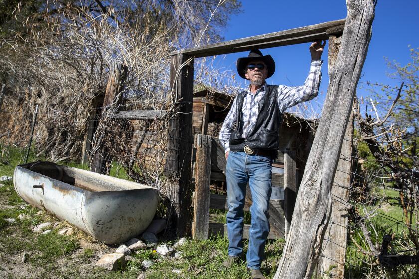 ALAMO, NV - APRIL 15: Glenndon Bundy stands for a portrait on his rural ranch on Wednesday, April 15, 2020 in Alamo, NV. (Brian van der Brug / Los Angeles Times)