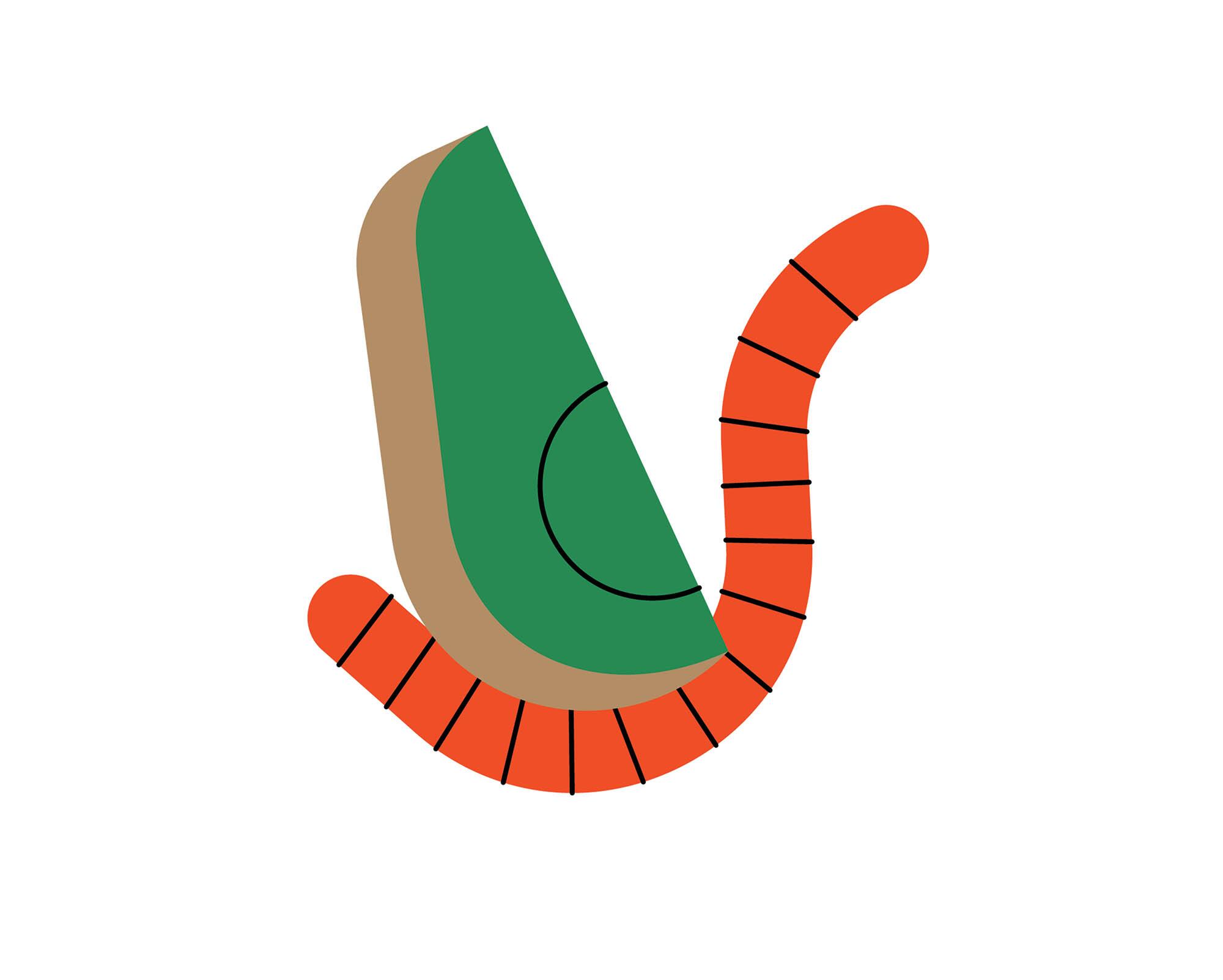 An illustration of an avocado and a red worm