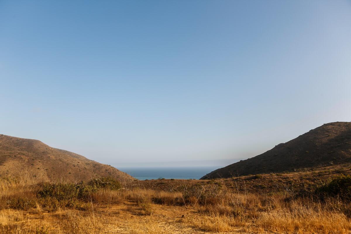 An opening between brown hills, a.k.a. sycamore savanna, with a view to the distance