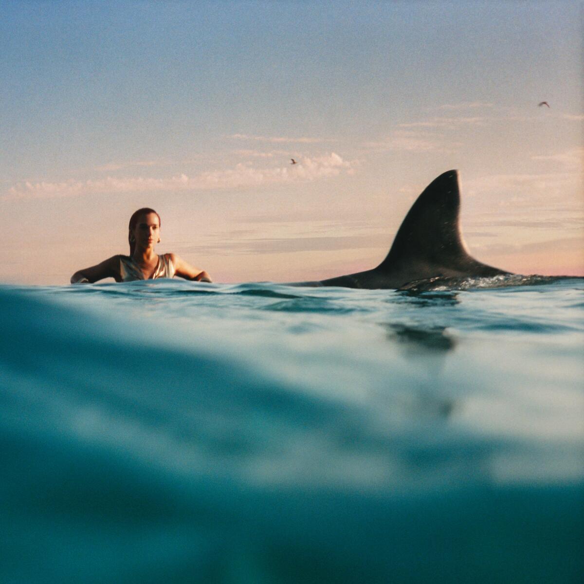 A woman in the distance in the ocean, next to a large shark fin.